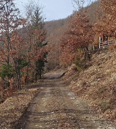 Kuca Veronika Zlatarsko Jezero 1 * Nova Varoš