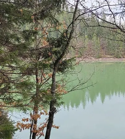 Kuca Veronika Zlatarsko Jezero 1 Prázdninový dům Nova Varoš