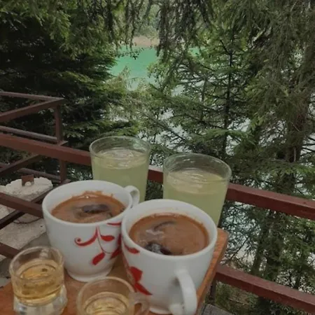 Kuca Veronika Zlatarsko Jezero 1 * Nova Varoš