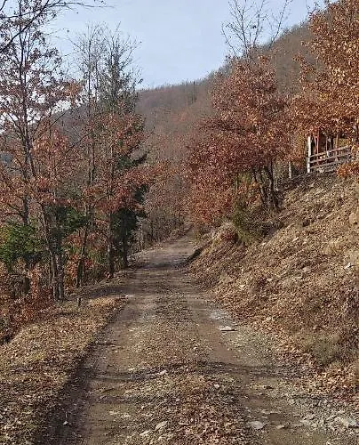 Kuca Veronika Zlatarsko Jezero 1 * Nova Varoš