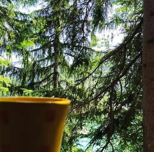 Hébergement de vacances Kuca Veronika Zlatarsko Jezero 1