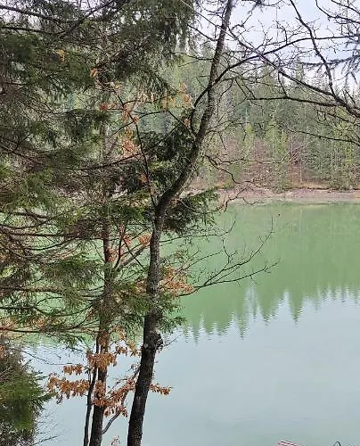 Kuca Veronika Zlatarsko Jezero 1 Hébergement de vacances Nova Varoš