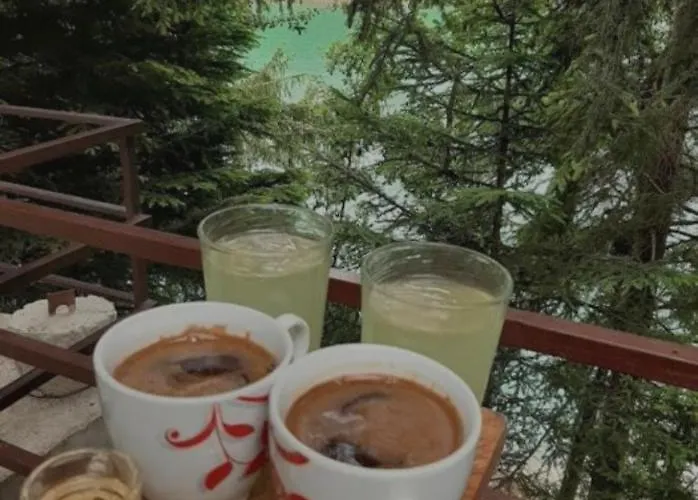 Kuca Veronika Zlatarsko Jezero 1 * Nova Varoš